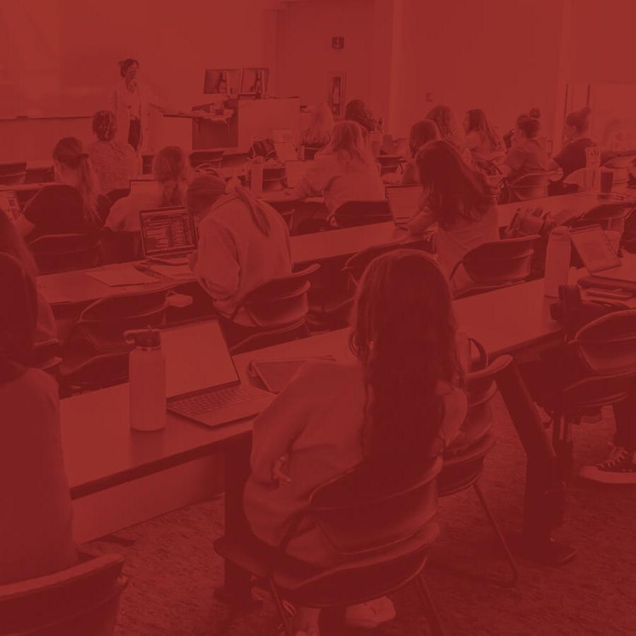 Students sitting in a classroom listening to a lecture.